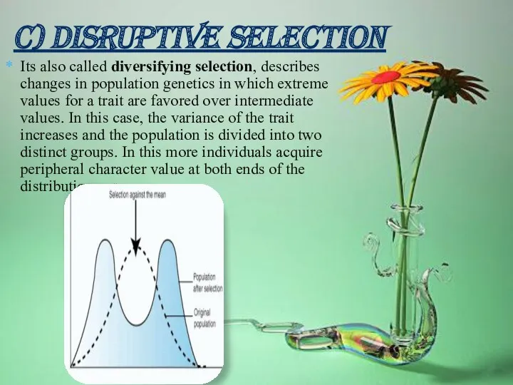 C) DISRUPTIVE SELECTION Its also called diversifying selection, describes changes