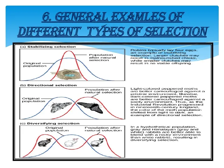 6. GENERAL EXAMLES OF DIFFERENT TYPES OF SELECTION