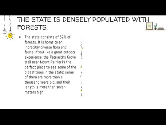 THE STATE IS DENSELY POPULATED WITH FORESTS. The state consists
