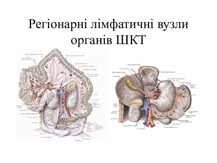 Регіонарні лімфатичні вузли органів ШКТ