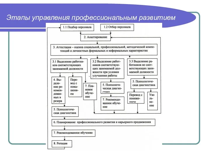 Этапы управления профессиональным развитием