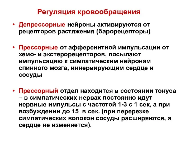 Регуляция кровообращения Депрессорные нейроны активируются от рецепторов растяжения (барорецепторы) Прессорные