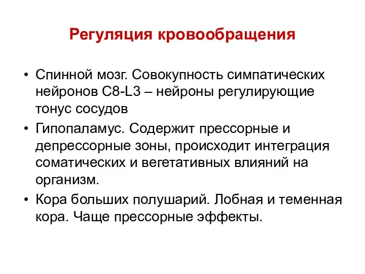 Регуляция кровообращения Спинной мозг. Совокупность симпатических нейронов С8-L3 – нейроны