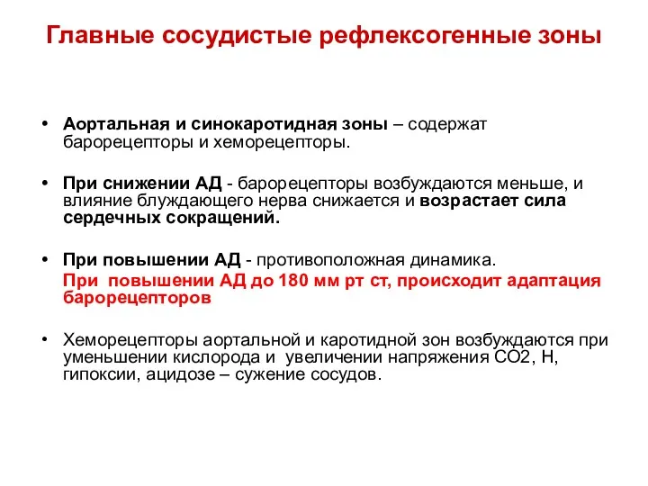 Главные сосудистые рефлексогенные зоны Аортальная и синокаротидная зоны – содержат