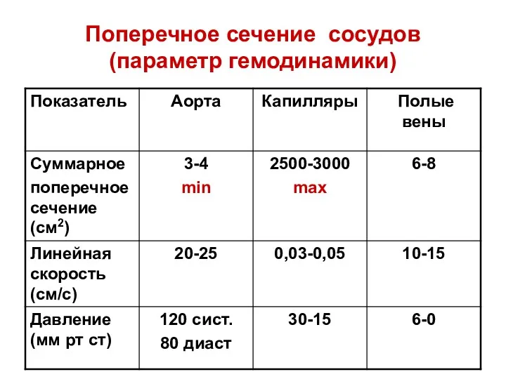 Поперечное сечение сосудов (параметр гемодинамики)