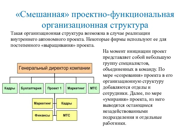 «Смешанная» проектно-функциональная организационная структура Такая организационная структура возможна в случае реализации внутреннего автономного