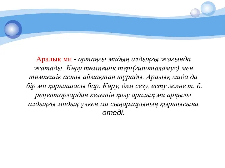 Аралық ми - ортаңғы мидың алдыңғы жағында жатады. Көру төмпешік