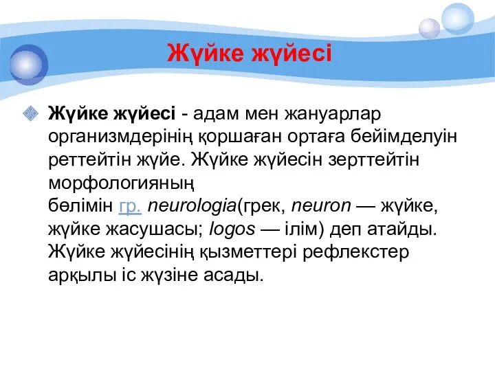 Жүйке жүйесі Жүйке жүйесі - адам мен жануарлар организмдерінің қоршаған