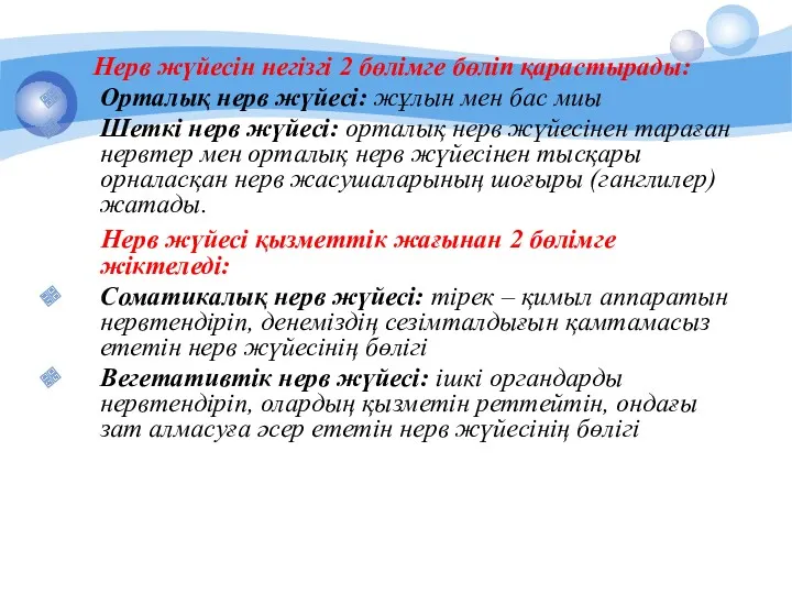 Нерв жүйесін негізгі 2 бөлімге бөліп қарастырады: Орталық нерв жүйесі: