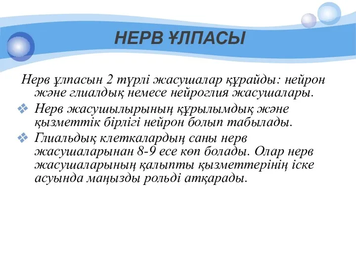 НЕРВ ҰЛПАСЫ Нерв ұлпасын 2 түрлі жасушалар құрайды: нейрон және