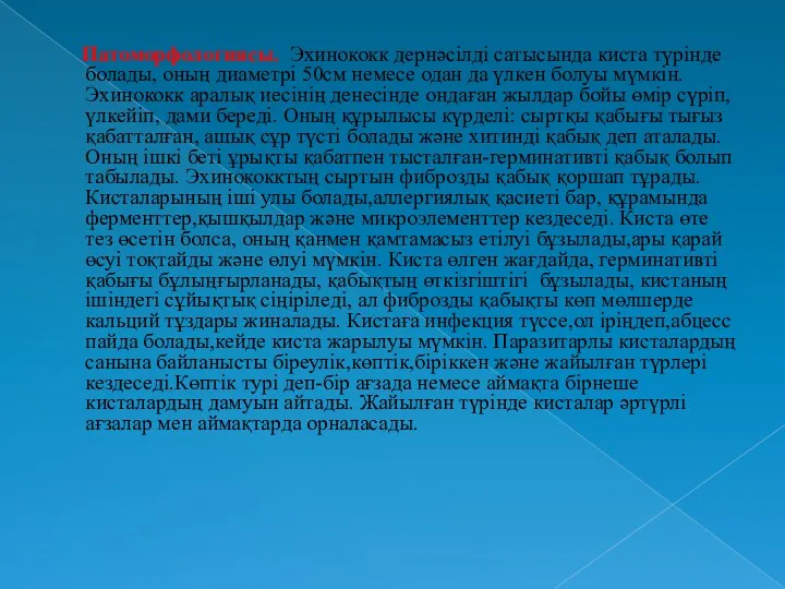 Патоморфологиясы. Эхинококк дернәсілді сатысында киста түрінде болады, оның диаметрі 50см