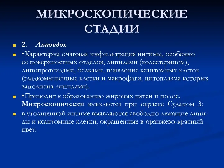 МИКРОСКОПИЧЕСКИЕ СТАДИИ 2. Липоидоз. • Характерна очаговая инфильтрация интимы, особенно