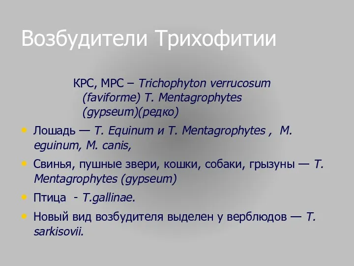 Возбудители Трихофитии КРС, МРС – Тrichophyton verrucosum (faviforme) Т. Mentagrophytes