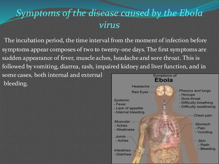 Symptoms of the disease caused by the Ebola virus The