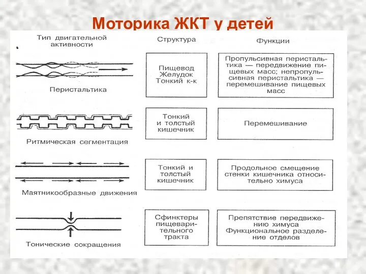 Моторика ЖКТ у детей