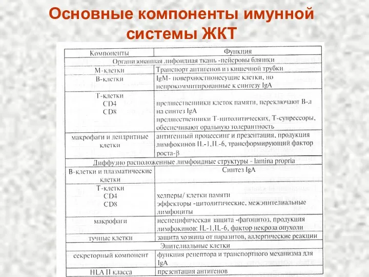 Основные компоненты имунной системы ЖКТ