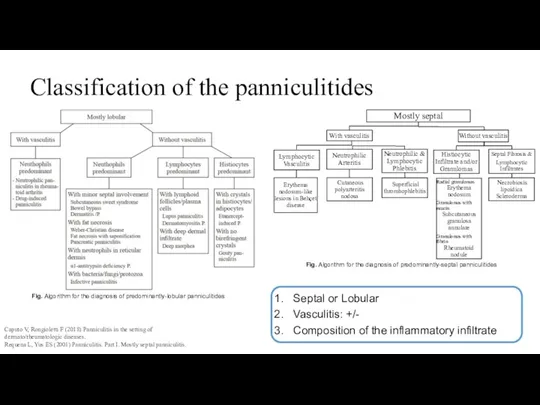 Classification of the panniculitides Fig. Algorithm for the diagnosis of