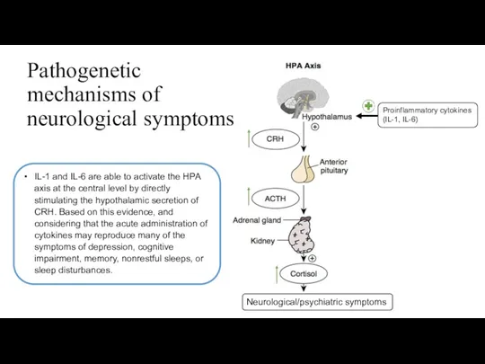 Pathogenetic mechanisms of neurological symptoms IL-1 and IL-6 are able