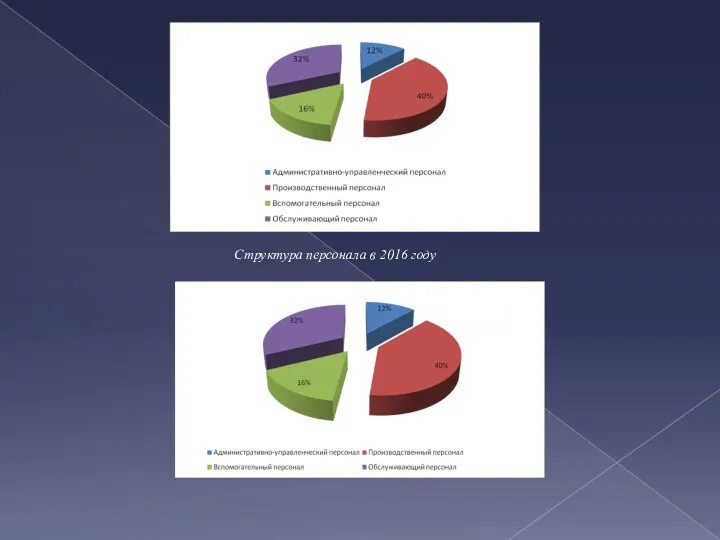 Структура персонала в 2016 году Структура персонала в 2017 году