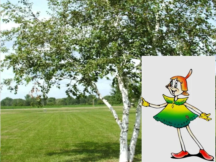 Русская красавица стоит на поляне, В зеленой кофточке, в белом сарафане.
