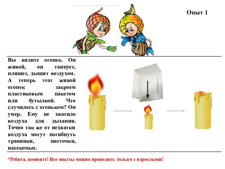 Опыт 1 *Ребята, помните! Все опыты можно проводить только с взрослыми!