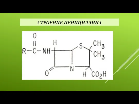 СТРОЕНИЕ ПЕНИЦИЛЛИНА