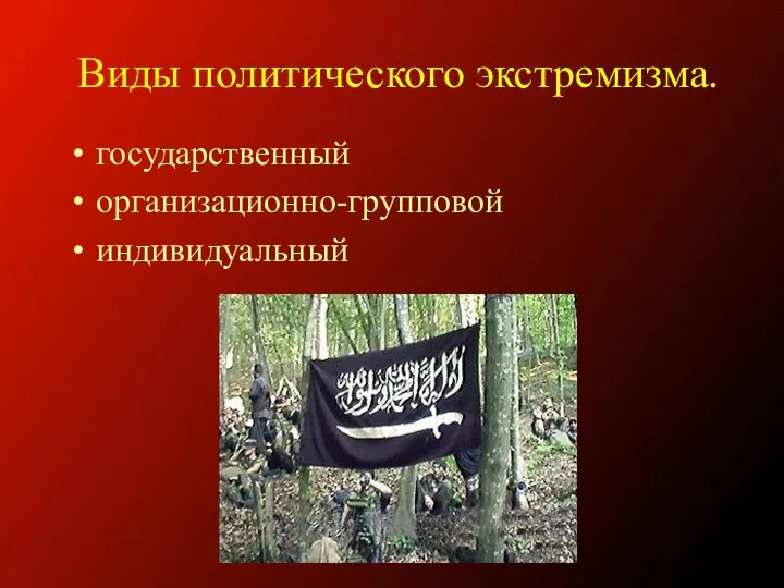 Виды политического экстремизма. государственный организационно-групповой индивидуальный