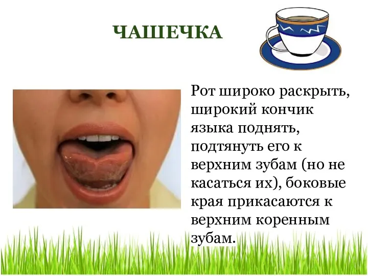 ЧАШЕЧКА Рот широко раскрыть, широкий кончик языка поднять, подтянуть его к верхним зубам