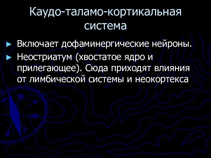 Каудо-таламо-кортикальная система Включает дофаминергические нейроны. Неостриатум (хвостатое ядро и прилегающее).