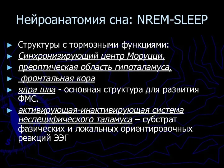 Нейроанатомия сна: NREM-SLEEP Структуры с тормозными функциями: Синхронизирующий центр Моруцци,