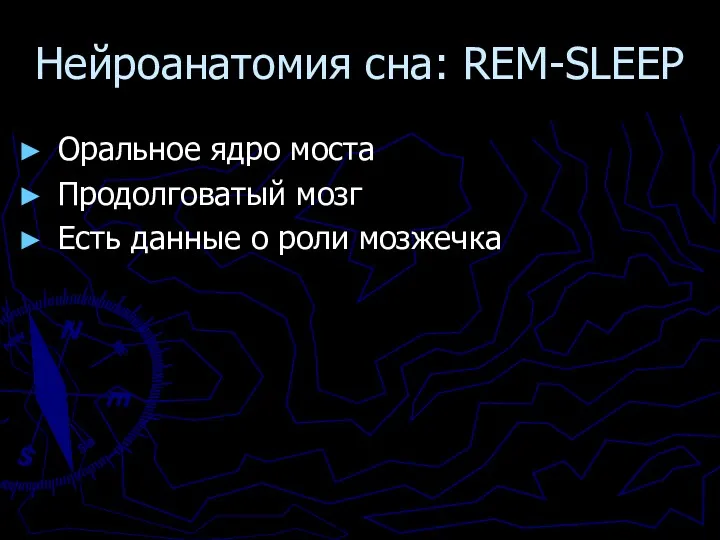 Нейроанатомия сна: REM-SLEEP Оральное ядро моста Продолговатый мозг Есть данные о роли мозжечка