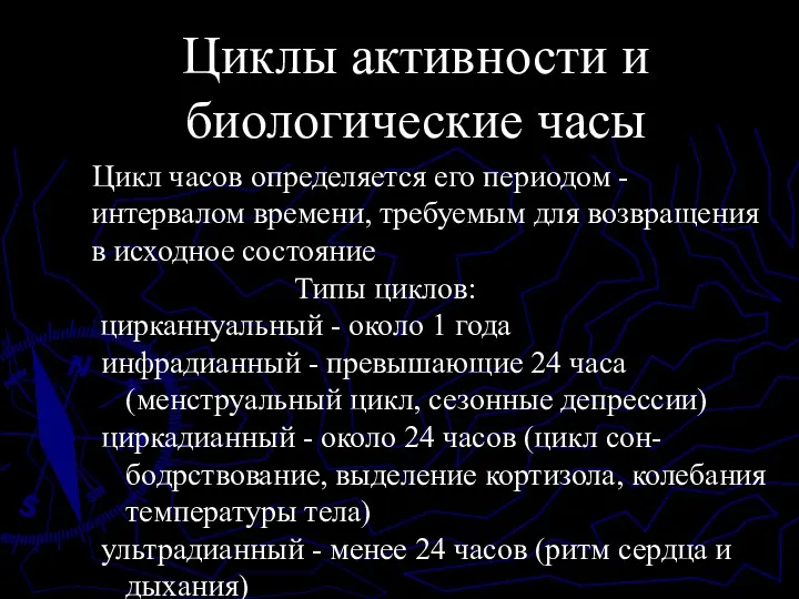 Циклы активности и биологические часы Цикл часов определяется его периодом