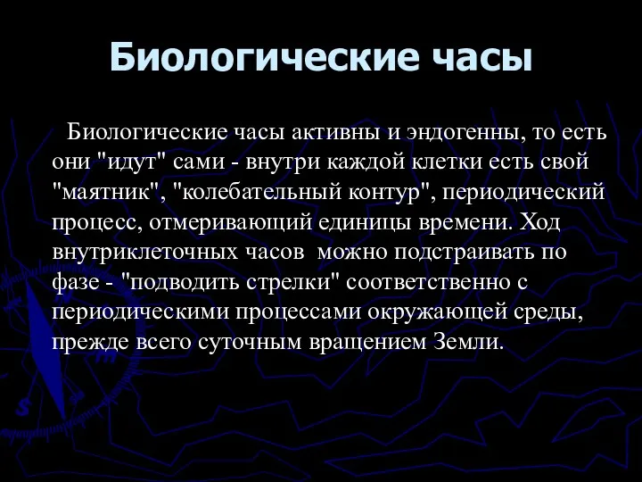 Биологические часы Биологические часы активны и эндогенны, то есть они