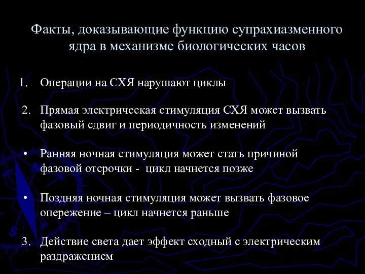 Операции на СХЯ нарушают циклы 2. Прямая электрическая стимуляция СХЯ