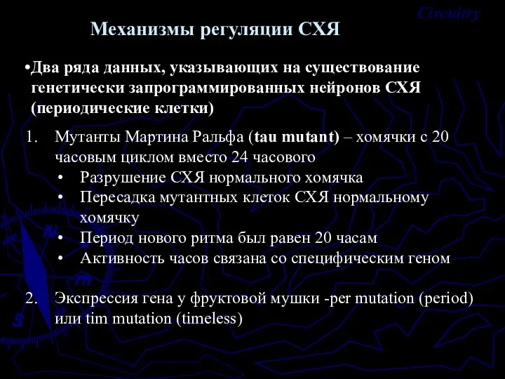 Механизмы регуляции СХЯ Два ряда данных, указывающих на существование генетически