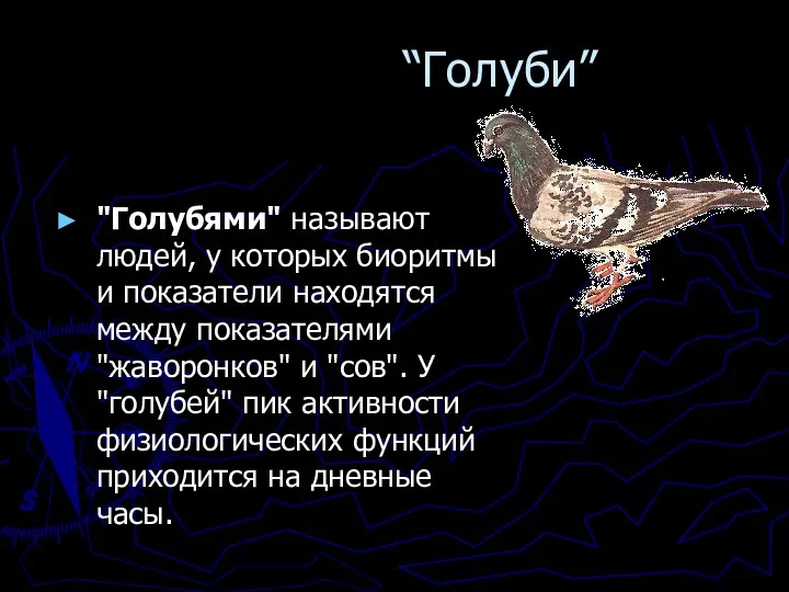 “Голуби” "Голубями" называют людей, у которых биоритмы и показатели находятся