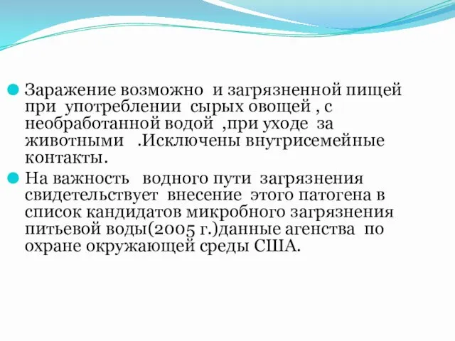 Заражение возможно и загрязненной пищей при употреблении сырых овощей ,