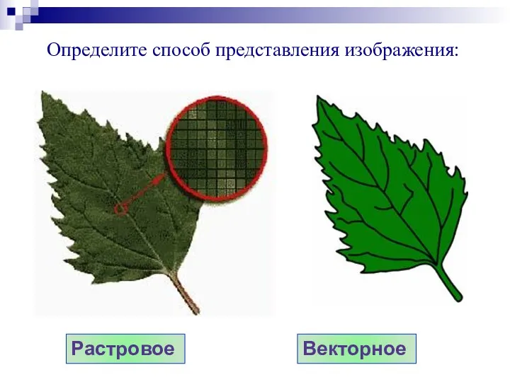 Растровое Векторное Определите способ представления изображения: