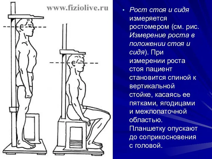 Рост стоя и сидя измеряется ростомером (см. рис. Измерение роста