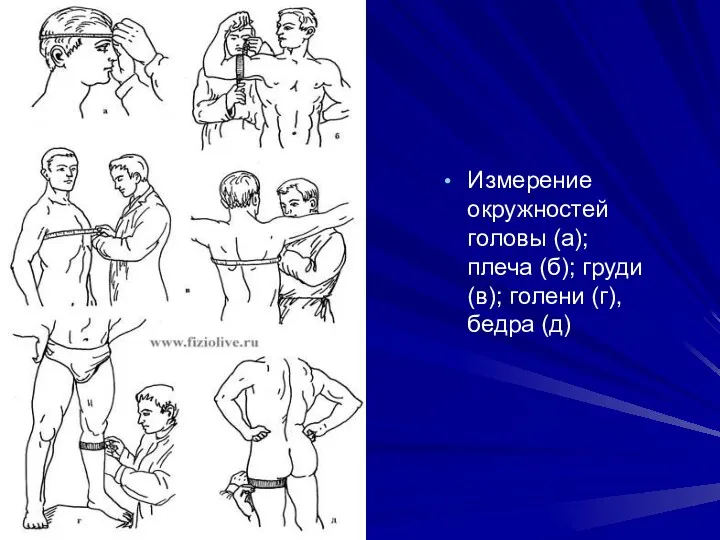 Измерение окружностей головы (а); плеча (б); груди (в); голени (г), бедра (д)