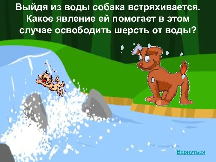 Выйдя из воды собака встряхивается. Какое явление ей помогает в