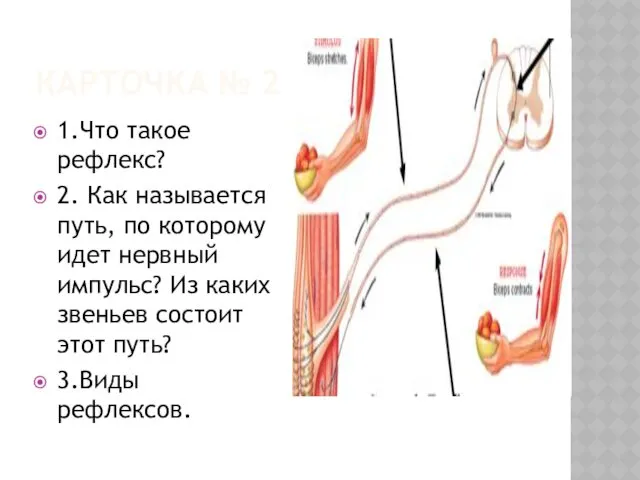 КАРТОЧКА № 2 1.Что такое рефлекс? 2. Как называется путь,