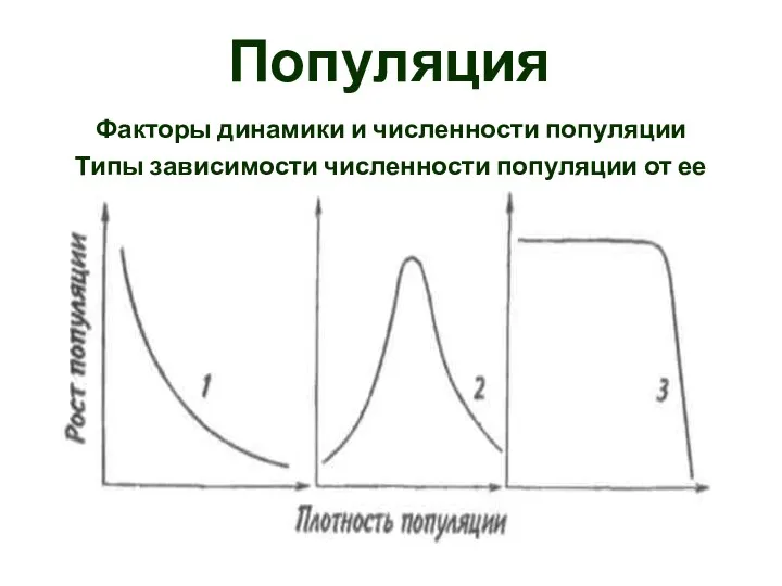 Популяция Факторы динамики и численности популяции Типы зависимости численности популяции от ее плотности