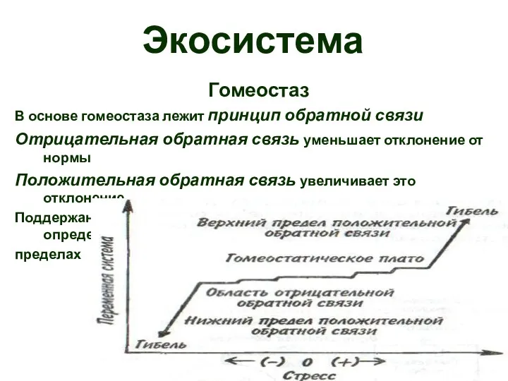 Экосистема Гомеостаз В основе гомеостаза лежит принцип обратной связи Отрицательная