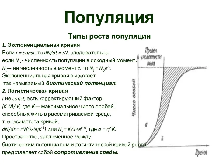 Популяция Типы роста популяции 1. Экспоненциальная кривая Если r =