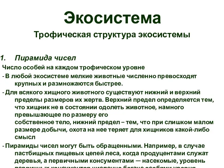 Экосистема Трофическая структура экосистемы Пирамида чисел Число особей на каждом