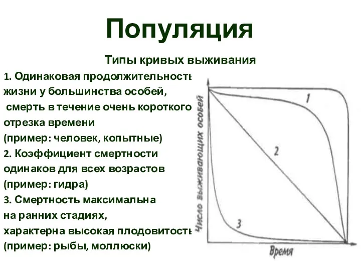 Популяция Типы кривых выживания 1. Одинаковая продолжительность жизни у большинства