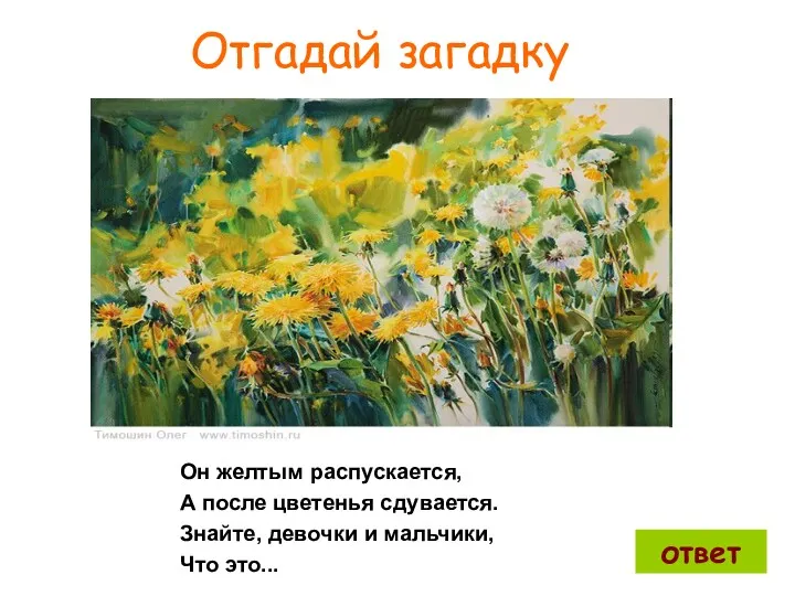 Отгадай загадку Он желтым распускается, А после цветенья сдувается. Знайте, девочки и мальчики, Что это... ответ