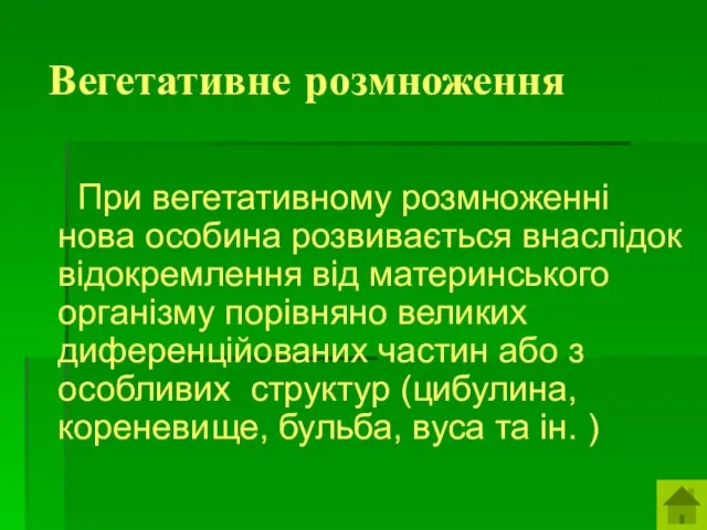 Вегетативне розмноження При вегетативному розмноженні нова особина розвивається внаслідок відокремлення