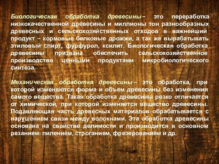 Биологическая обработка древесины – это переработка низкокачественной древесины и миллионы